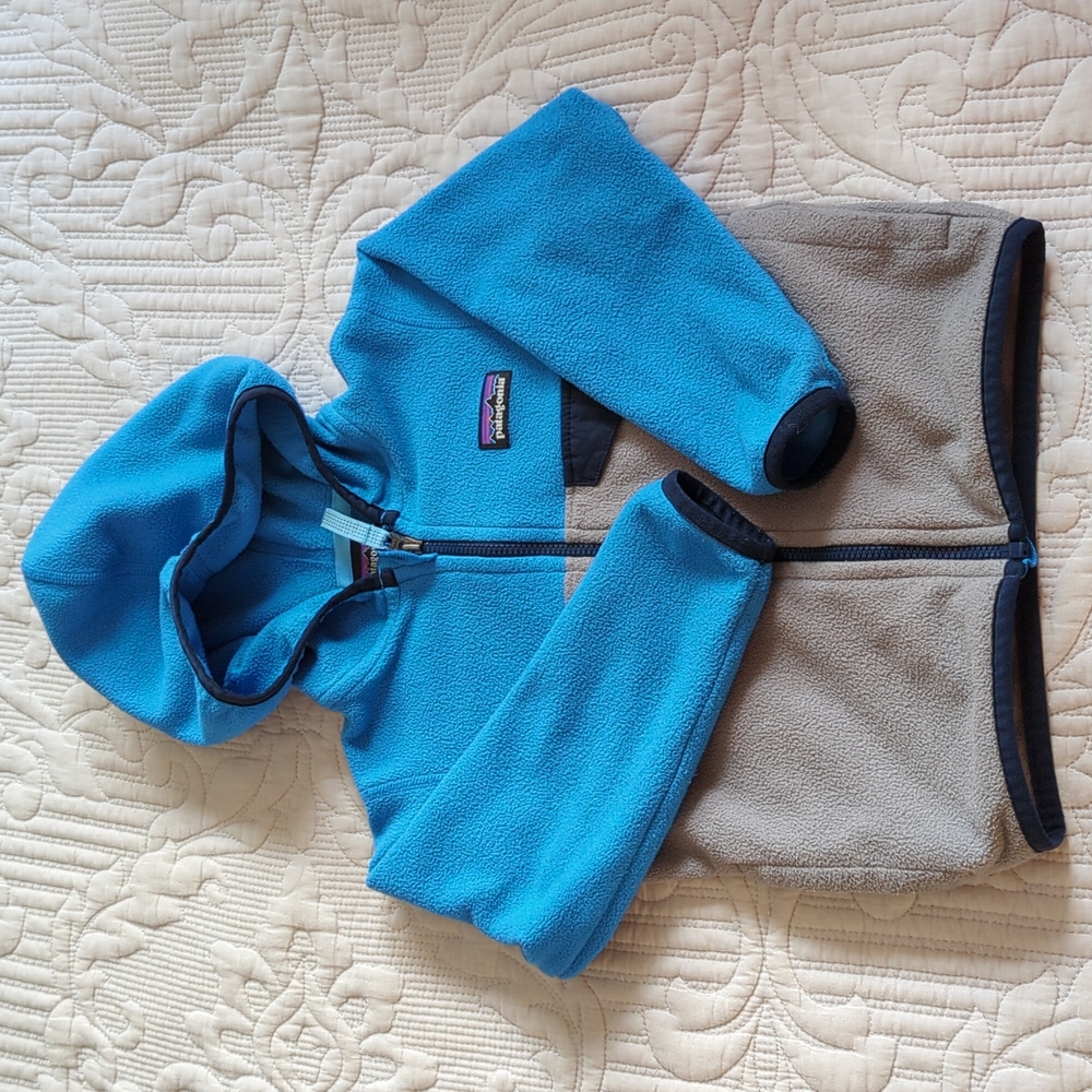 Patagonia Micro D Snap-T Jacket